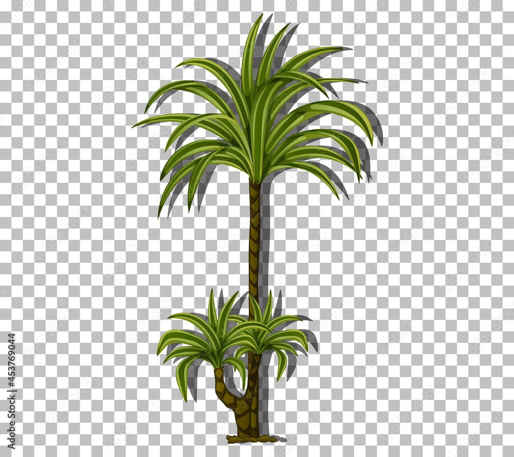 Wall mural palm tree isolated on transparent background