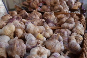 Fresh garlic on market table closeup photo. Vitamin healthy food spice image. Spicy cooking ingredient picture. Pile of garlic heads. Purple garlic head heap side view.