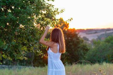 Obraz premium Profile of a young girl dressed in white with her head turned towards the setting sun while touching the magic tree