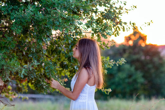 A young girl in profile with long blond hair, dressed in white, at sunset, touches the leaves of the magic tree