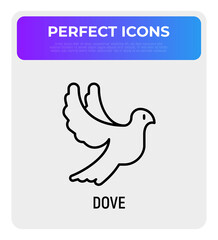 Flying dove thin line icon. Pigeon. Modern vector illustration for logo.