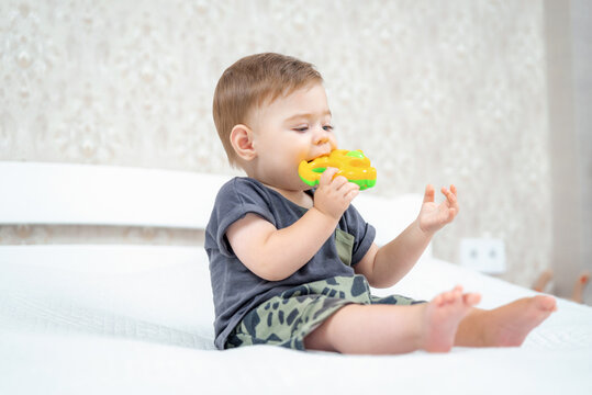 Curious infant baby boy biting rattle toy sitting on bed in a sunny bedroom. Little child gnaws a plastic toy because his teeth are cut.