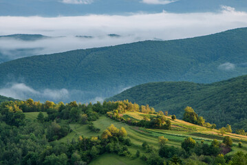 Fototapeta premium morning mountain hills in the fog at sunrise.