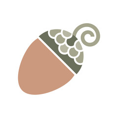 Acorn