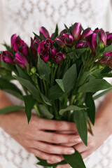 Alstroemeria flowers bouquet. Hands holding fresh flowers