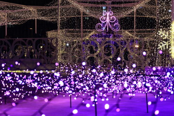 【北海道】さっぽろホワイトイルミネーション（札幌市）