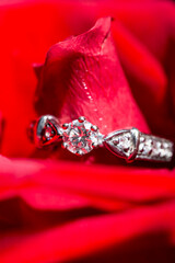 white gold ring with diamonds in red rose petals