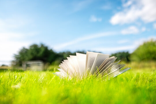 Open book on green grass in a field background