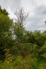 surroundings of the city of Yaropolets in the Moscow region