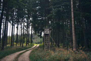 Wooden watch tower in the forest