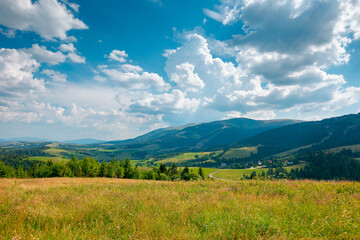 Fototapeta na wymiar mountain landscape with meadow and valley. beautiful countryside scenery in summer. coniferous forest on the grassy slope. bright sunny weather with gorgeous cloudscape on the afternoon sky