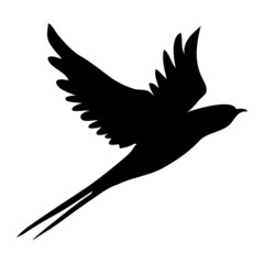 Swallow silhouette. Isolated swallow on white background.