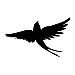 Swallow silhouette. Isolated swallow on white background.