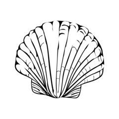 hand-drawn scribble from a seashell.