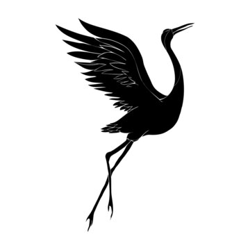 recommend clip art: The silhouette of a flying crane on a white background.