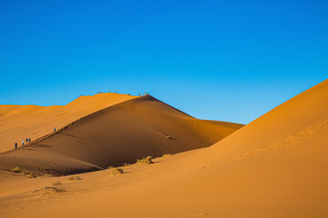 Fototapeta na wymiar Namib is the oldest desert