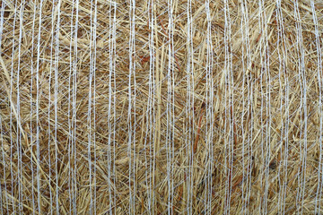 Foin emballé en botte