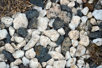 The background is made of white marble stones and gray granite. On the shore of Lake Baikal in autumn.