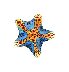 Watercolor painting blue with orange starfish. Ocean, marine animals. Inhabitant of the seabed. Five rays of the star. Isolated over white background. Drawn by hand.