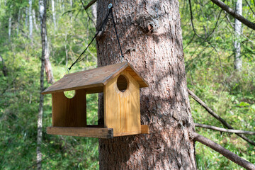an bird feeder house in a green summer forest. made with your own hands, a ladder from branches for small animals, squirrels and chipmunks