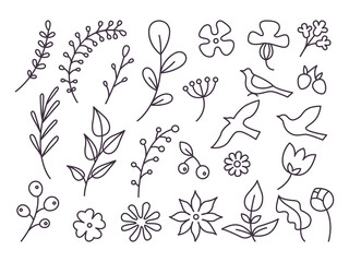 Line art floral illustrations. Flowers, birds, berries. Doodles vector set.