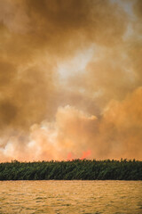 Obraz na płótnie Canvas Large clouds of smoke, fire in nature.