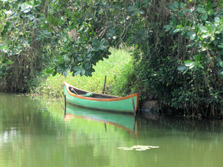Fototapeta na wymiar Backwaters Boat