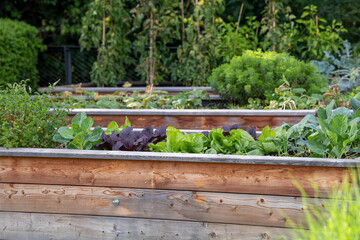 Gemüsehochbeet - Kräuter und Salate, sowie Gemüse im Garten anbauen