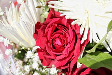 Beautiful bouquet of colorful flowers with a bright red rose in the center on a bright sunny summer day.
