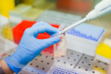 Laboratory work with tissue cultures