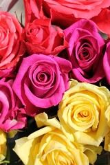 Beautiful bouquet of pink, orange, and yellow roses in full bloom on a bright sunny summer day.
