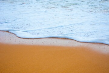 frothy wave