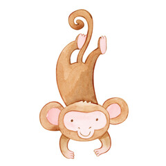 Watercolor illustration of brown simple monkey.