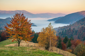 Colorful autumn evening after sunset in the Carpathian mountains