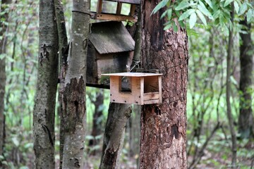 birdhouse on tree