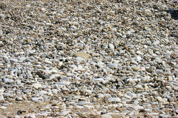 Little pebbles on the beach