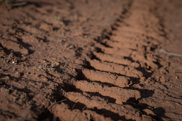 Vehicle track in the dirt
