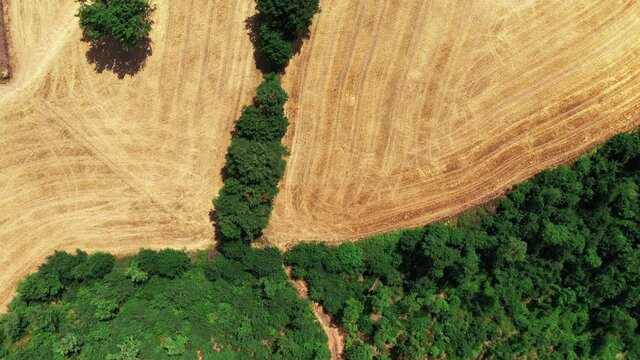 Top view of Tuscan countryside shot with drone at summer time. Top view of amazing country in sunny weather, arid fields,green trees,olive trees 