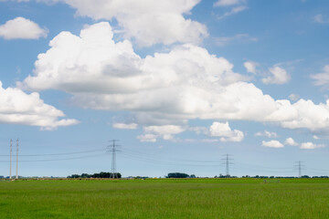 Summer countryside landscape, Flat and low land with green meadow under blue sky, Typical Dutch polder with the Electric high voltage pole on the grass field, Groningen, City in northern Netherlands.