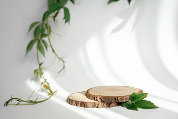 Natural round wooden stand for presentation and exhibitions on white background with shadow. Mock...