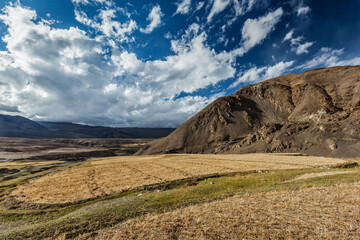 Himalayan landscape. Ladakh, India