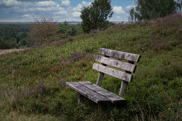 eine Holzbank mitten in der Heide
