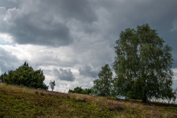 graue Wolken &uuml;ber der Landschaft