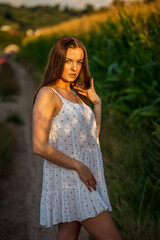 Fototapeta na wymiar Young beautiful woman in white dress in corn field.