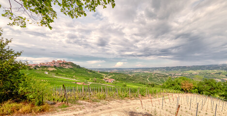 The vineyards of Langhe (Piedmont, Northern Italy), seen from the viewpoint of the village of La...