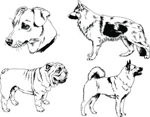 vector drawings sketches pedigree dogs and cats  drawn in ink by hand , objects with no background