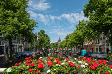 Port Gouda , South Holland province, The Netherlands