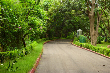 Fototapeta premium Dirty Dry Road Pathway in Park in Rainy Season Background