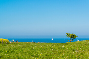 Steiküste an der Ostsee bei Bülk an der Kieler Förde zur Rapsblüte im Mai/Juni