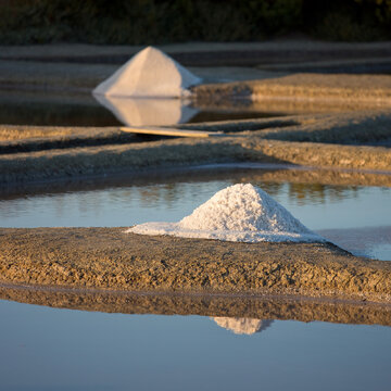 Tas de sel blanc r&eacute;colt&eacute; par un saunier de l'&icirc;le de Noirmoutier en France.